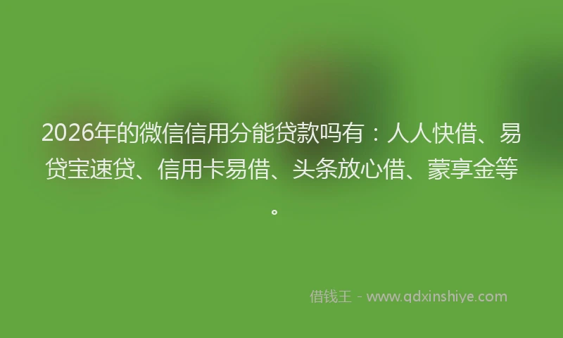2026年的微信信用分能贷款吗有：人人快借、易贷宝速贷、信用卡易借、头条放心借、蒙享金等。