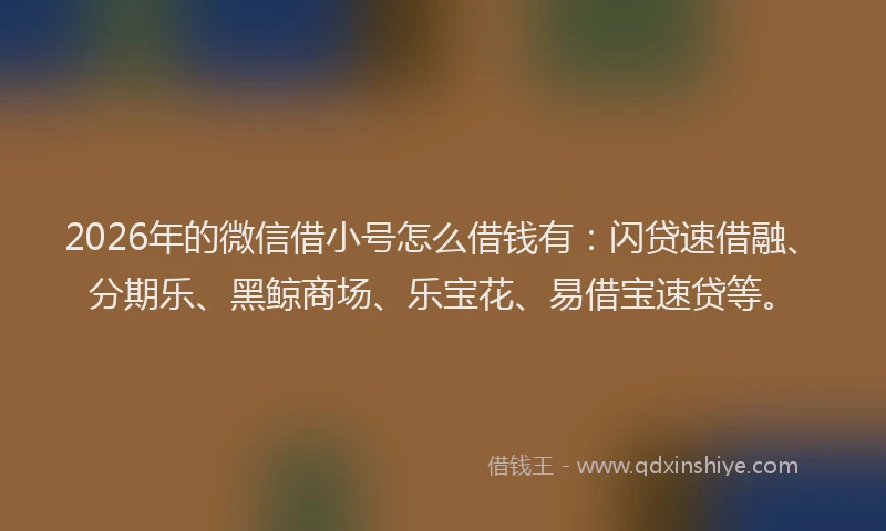 2026年的微信借小号怎么借钱有:闪贷速借融、分期乐、黑鲸商场、乐宝花、易借宝速贷等。