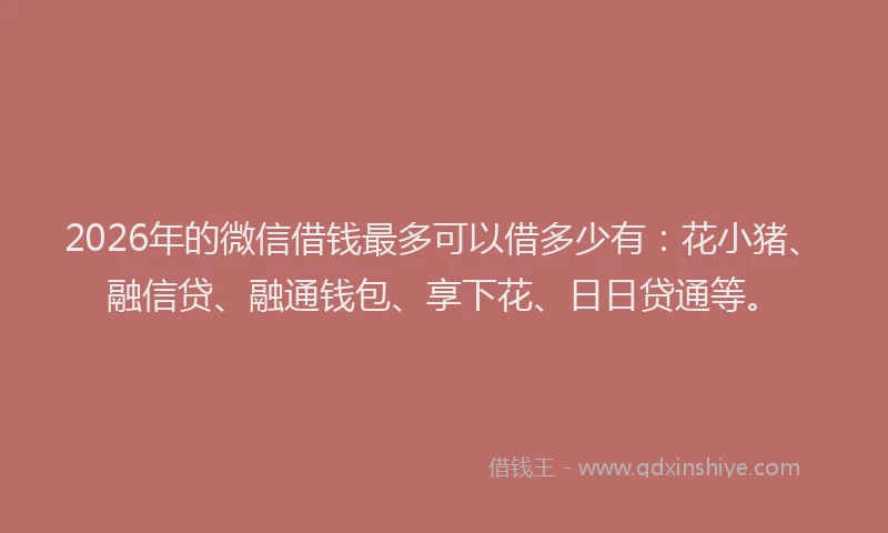 2026年的微信借钱最多可以借多少有：花小猪、融信贷、融通钱包、享下花、日日贷通等。