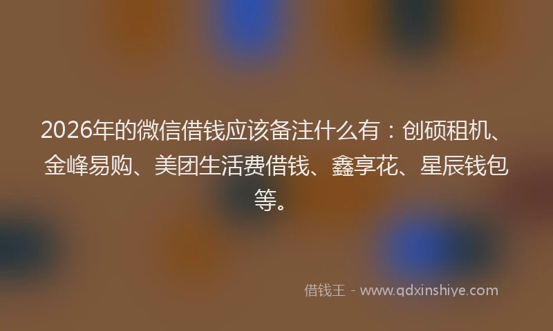 2026年的微信借钱应该备注什么有：创硕租机、金峰易购、美团生活费借钱、鑫享花、星辰钱包等。