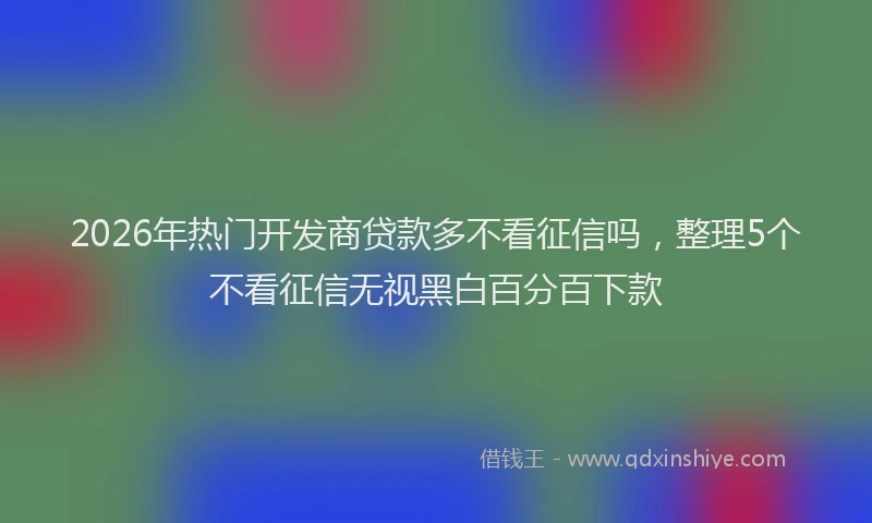 2026年热门开发商贷款多不看征信吗，整理5个不看征信无视黑白百分百下款