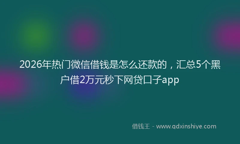 2026年热门微信借钱是怎么还款的，汇总5个黑户借2万元秒下网贷口子app