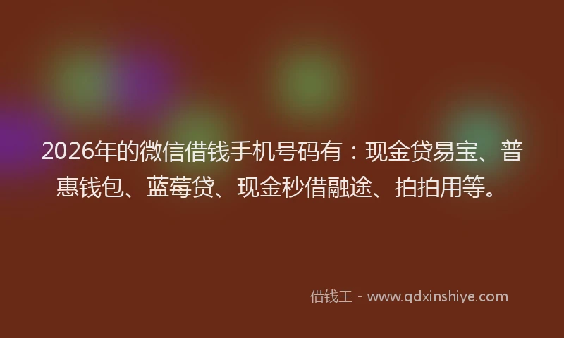 2026年的微信借钱手机号码有：现金贷易宝、普惠钱包、蓝莓贷、现金秒借融途、拍拍用等。