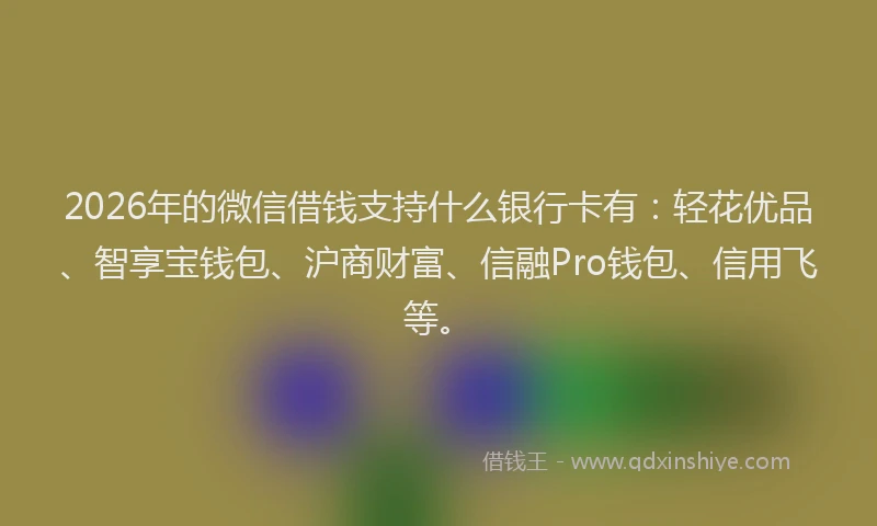 2026年的微信借钱支持什么银行卡有：轻花优品、智享宝钱包、沪商财富、信融Pro钱包、信用飞等。