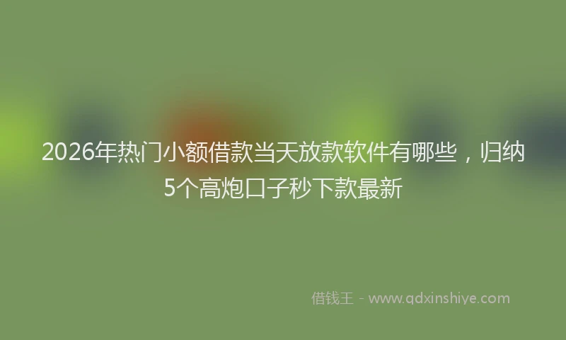 2026年热门小额借款当天放款软件有哪些，归纳5个高炮口子秒下款最新