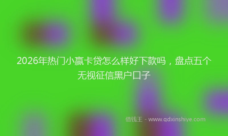 2026年热门小赢卡贷怎么样好下款吗，盘点五个无视征信黑户口子