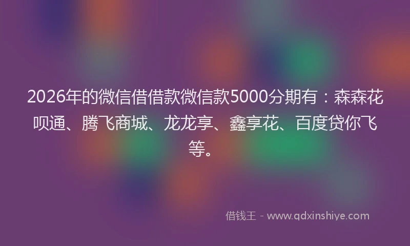 2026年的微信借借款微信款5000分期有：森森花呗通、腾飞商城、龙龙享、鑫享花、百度贷你飞等。