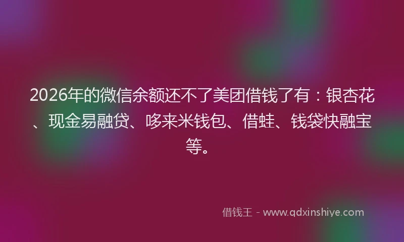 2026年的微信余额还不了美团借钱了有：银杏花、现金易融贷、哆来米钱包、借蛙、钱袋快融宝等。