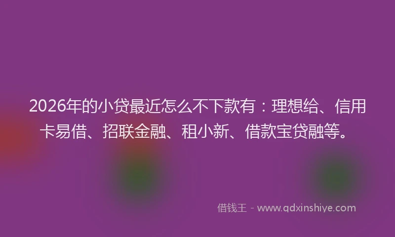 2026年的小贷最近怎么不下款有：理想给、信用卡易借、招联金融、租小新、借款宝贷融等。