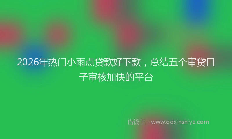 2026年热门小雨点贷款好下款，总结五个审贷口子审核加快的平台