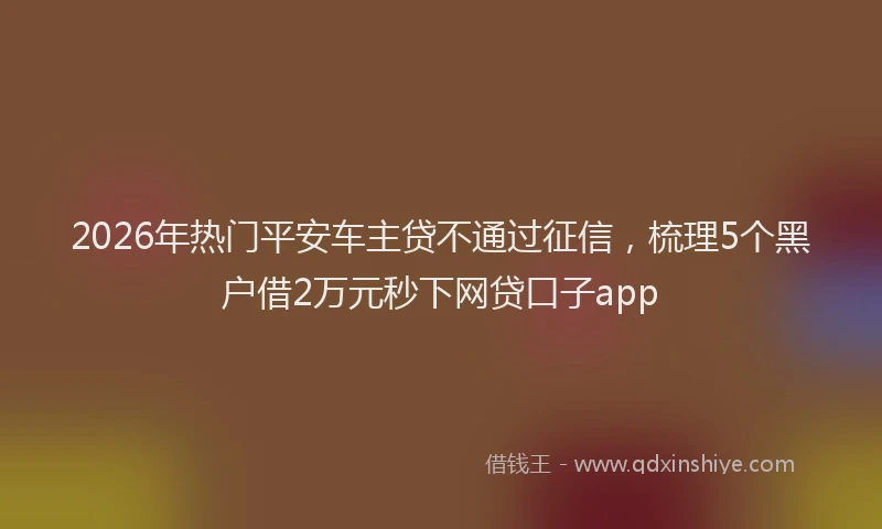 2026年热门平安车主贷不通过征信，梳理5个黑户借2万元秒下网贷口子app
