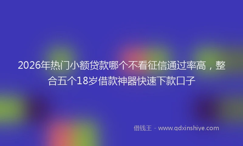 2026年热门小额贷款哪个不看征信通过率高，整合五个18岁借款神器快速下款口子