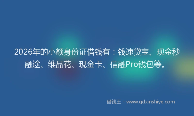 2026年的小额身份证借钱有：钱速贷宝、现金秒融途、维品花、现金卡、信融Pro钱包等。