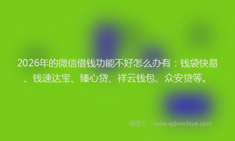 2026年的微信借钱功能不好怎么办有：钱袋快易、钱速达宝、臻心贷、祥云钱包、众安贷等。