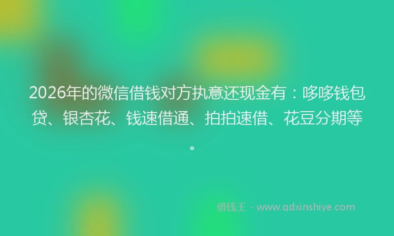2026年的微信借钱对方执意还现金有：哆哆钱包贷、银杏花、钱速借通、拍拍速借、花豆分期等。