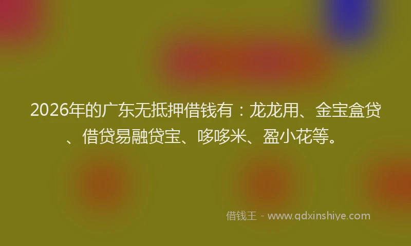 2026年的广东无抵押借钱有：龙龙用、金宝盒贷、借贷易融贷宝、哆哆米、盈小花等。