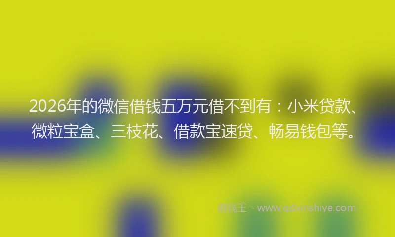 2026年的微信借钱五万元借不到有：小米贷款、微粒宝盒、三枝花、借款宝速贷、畅易钱包等。