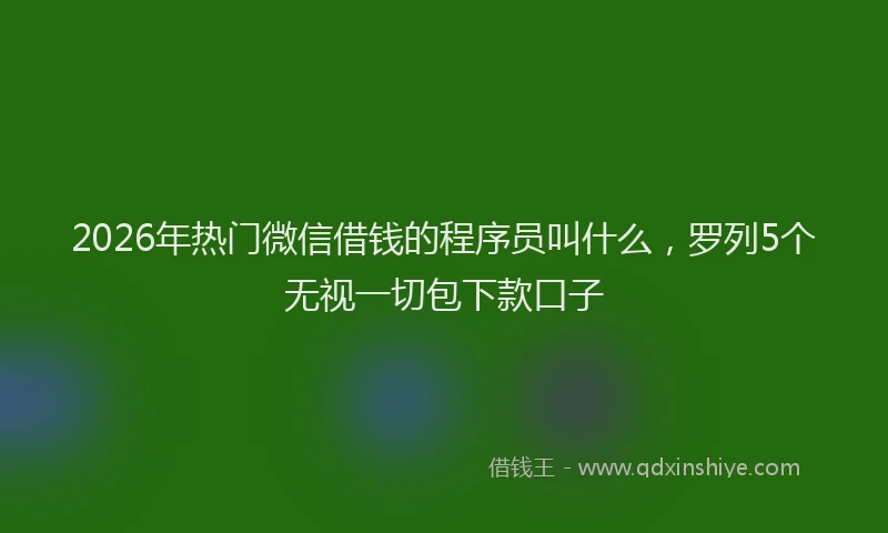 2026年热门微信借钱的程序员叫什么，罗列5个无视一切包下款口子