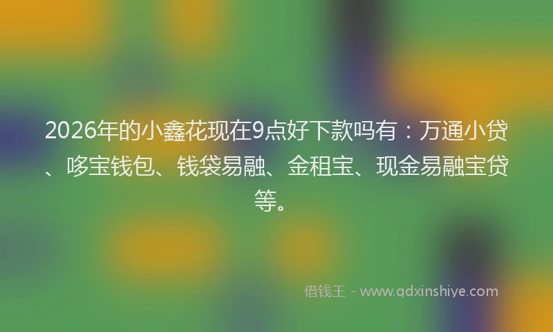 2026年的小鑫花现在9点好下款吗有：万通小贷、哆宝钱包、钱袋易融、金租宝、现金易融宝贷等。