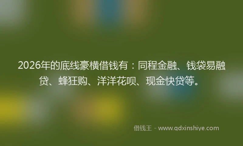 2026年的底线豪横借钱有:同程金融、钱袋易融贷、蜂狂购、洋洋花呗、现金快贷等。