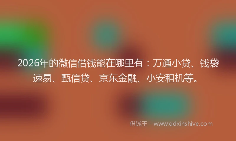 2026年的微信借钱能在哪里有：万通小贷、钱袋速易、甄信贷、京东金融、小安租机等。