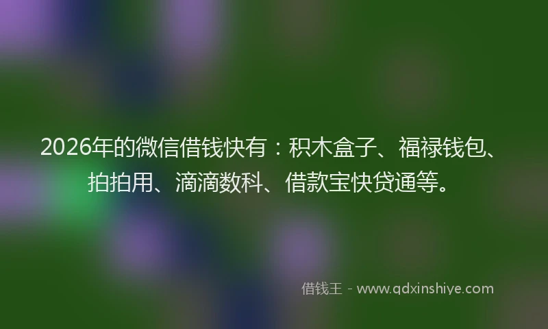 2026年的微信借钱快有：积木盒子、福禄钱包、拍拍用、滴滴数科、借款宝快贷通等。