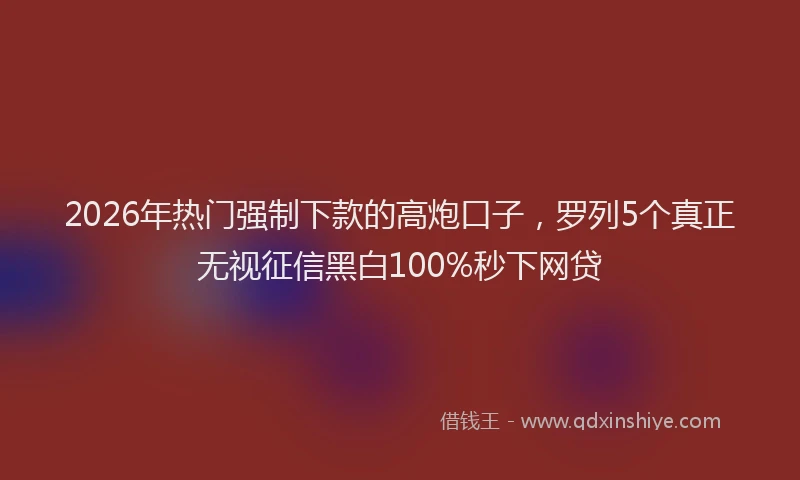 2026年热门强制下款的高炮口子，罗列5个真正无视征信黑白100%秒下网贷