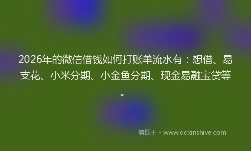 2026年的微信借钱如何打账单流水有：想借、易支花、小米分期、小金鱼分期、现金易融宝贷等。