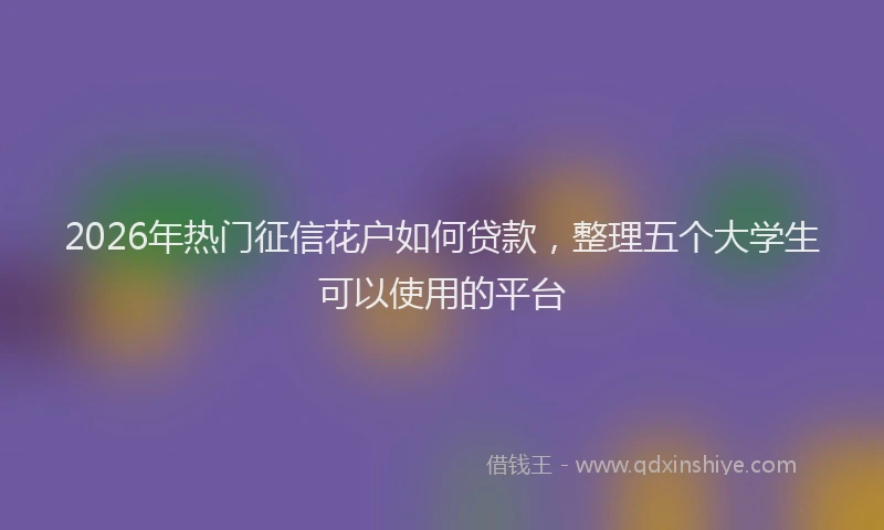 2026年热门征信花户如何贷款，整理五个大学生可以使用的平台