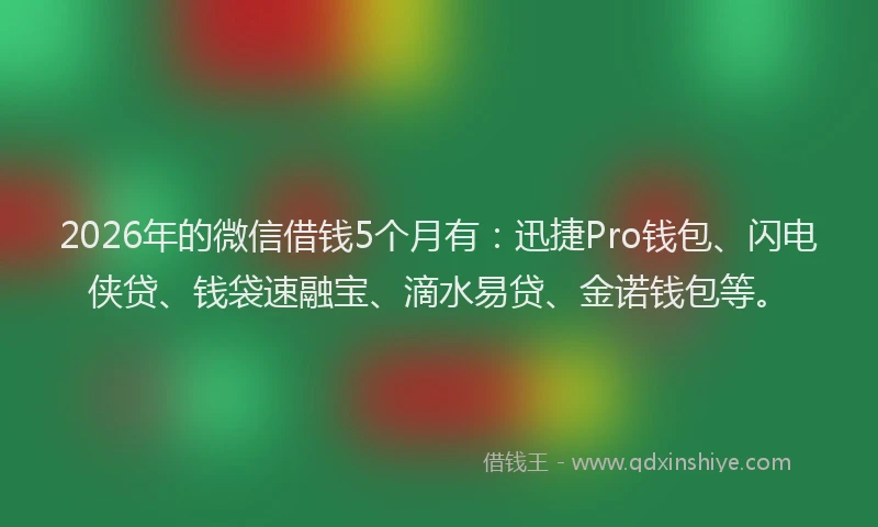 2026年的微信借钱5个月有：迅捷Pro钱包、闪电侠贷、钱袋速融宝、滴水易贷、金诺钱包等。