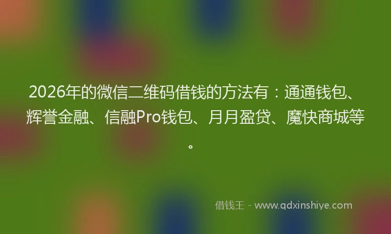 2026年的微信二维码借钱的方法有：通通钱包、辉誉金融、信融Pro钱包、月月盈贷、魔快商城等。