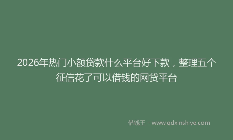 2026年热门小额贷款什么平台好下款，整理五个征信花了可以借钱的网贷平台