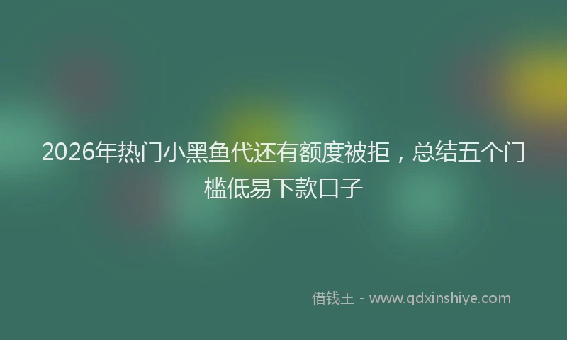 2026年热门小黑鱼代还有额度被拒，总结五个门槛低易下款口子