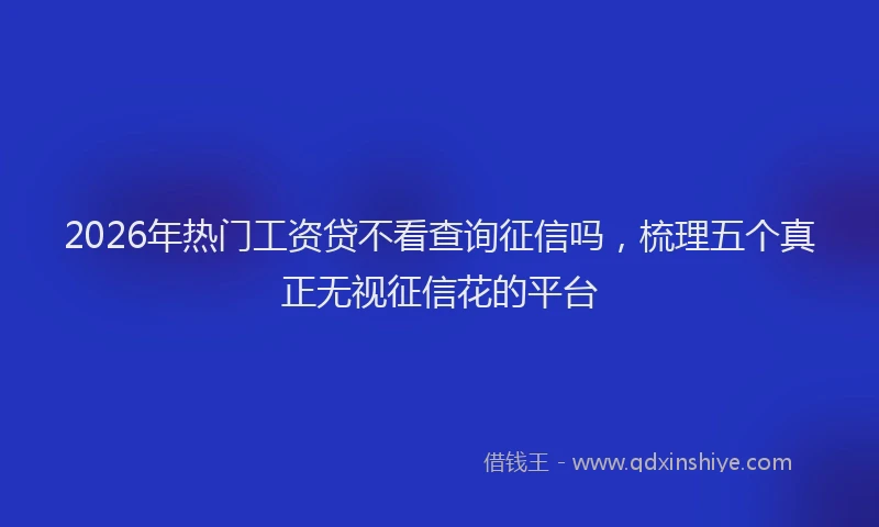 2026年热门工资贷不看查询征信吗，梳理五个真正无视征信花的平台