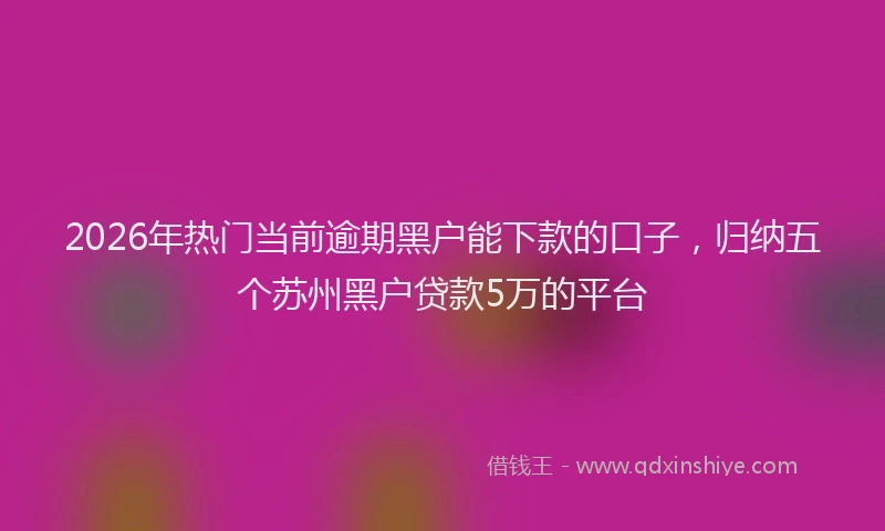 2026年热门当前逾期黑户能下款的口子，归纳五个苏州黑户贷款5万的平台
