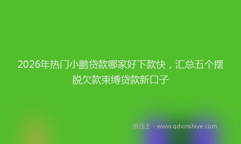 2026年热门小鹏贷款哪家好下款快，汇总五个摆脱欠款束缚贷款新口子