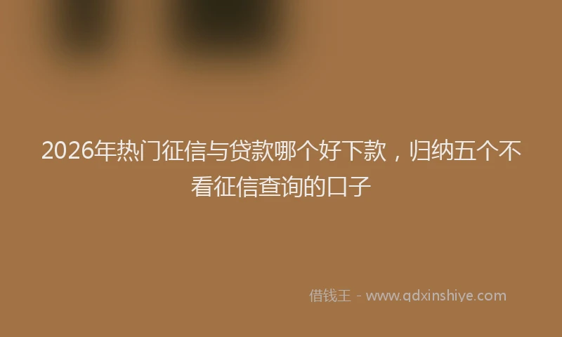 2026年热门征信与贷款哪个好下款，归纳五个不看征信查询的口子