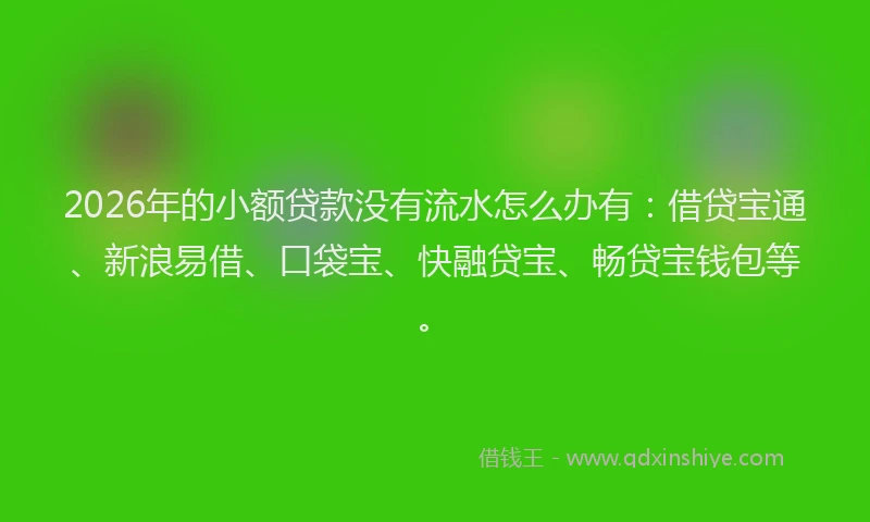 2026年的小额贷款没有流水怎么办有：借贷宝通、新浪易借、口袋宝、快融贷宝、畅贷宝钱包等。