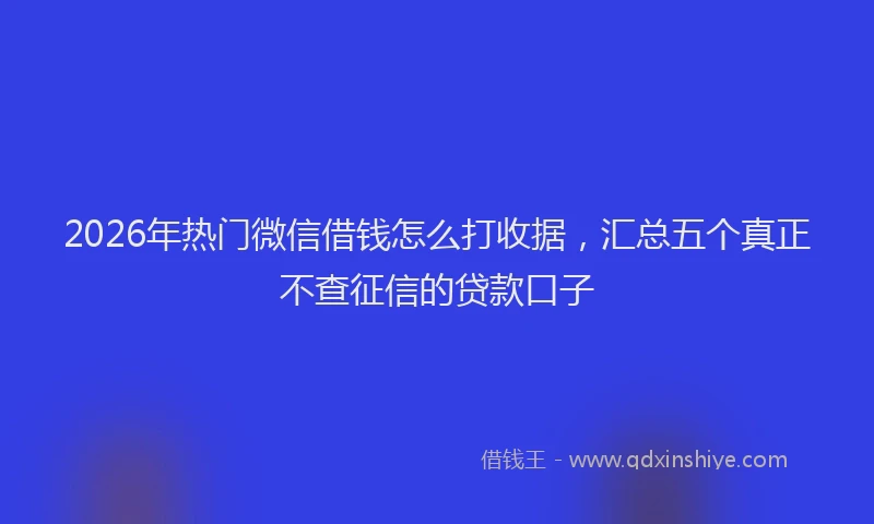 2026年热门微信借钱怎么打收据,汇总五个真正不查征信的贷款口子