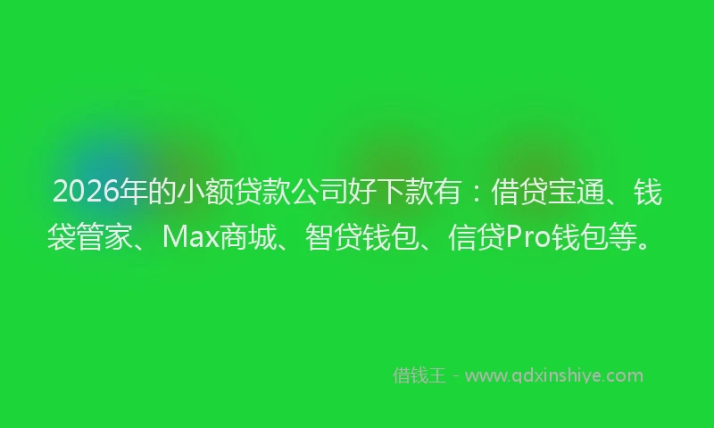 2026年的小额贷款公司好下款有：借贷宝通、钱袋管家、Max商城、智贷钱包、信贷Pro钱包等。