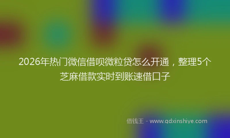 2026年热门微信借呗微粒贷怎么开通，整理5个芝麻借款实时到账速借口子