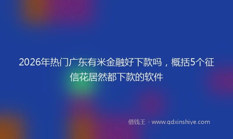 2026年热门广东有米金融好下款吗，概括5个征信花居然都下款的软件