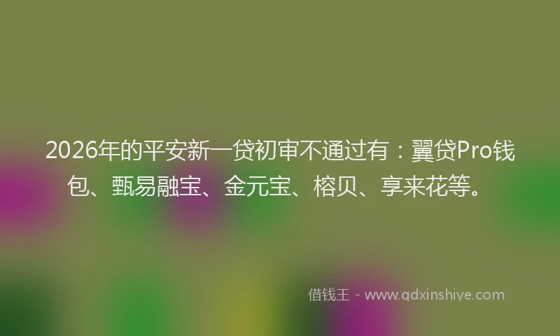 2026年的平安新一贷初审不通过有:翼贷Pro钱包、甄易融宝、金元宝、榕贝、享来花等。