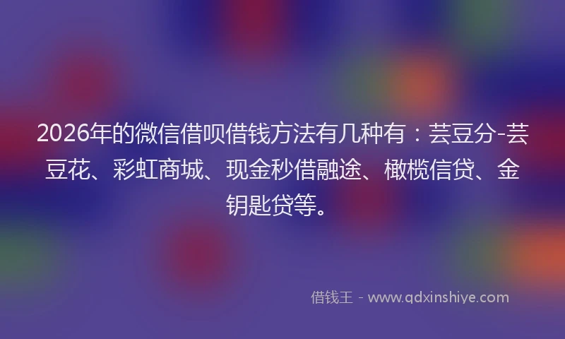 2026年的微信借呗借钱方法有几种有：芸豆分-芸豆花、彩虹商城、现金秒借融途、橄榄信贷、金钥匙贷等。