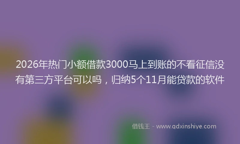 2026年热门小额借款3000马上到账的不看征信没有第三方平台可以吗，归纳5个11月能贷款的软件