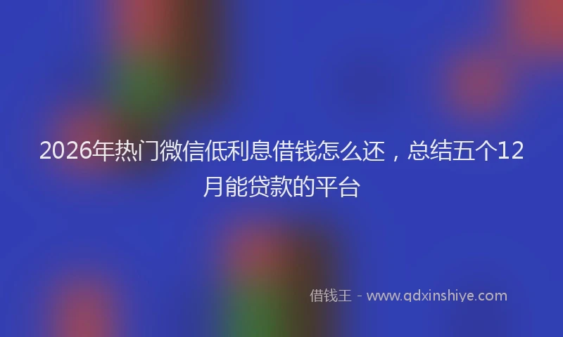 2026年热门微信低利息借钱怎么还，总结五个12月能贷款的平台