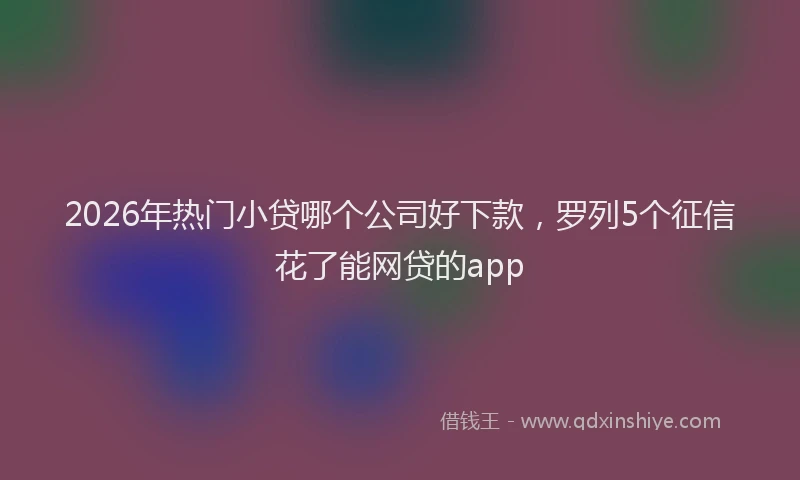 2026年热门小贷哪个公司好下款，罗列5个征信花了能网贷的app