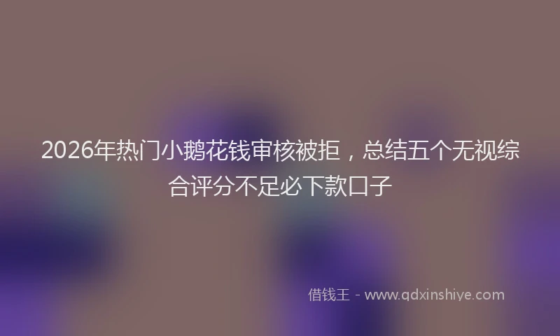 2026年热门小鹅花钱审核被拒，总结五个无视综合评分不足必下款口子