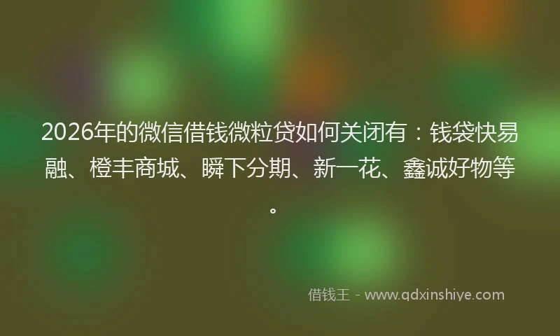 2026年的微信借钱微粒贷如何关闭有：钱袋快易融、橙丰商城、瞬下分期、新一花、鑫诚好物等。