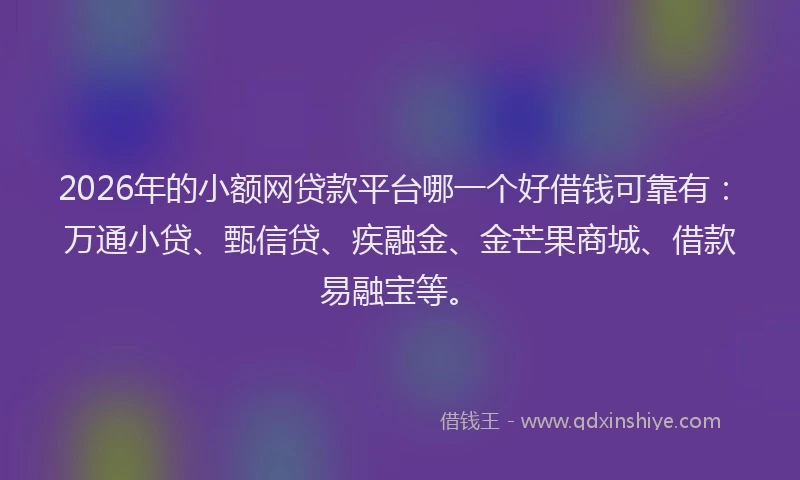 2026年的小额网贷款平台哪一个好借钱可靠有：万通小贷、甄信贷、疾融金、金芒果商城、借款易融宝等。